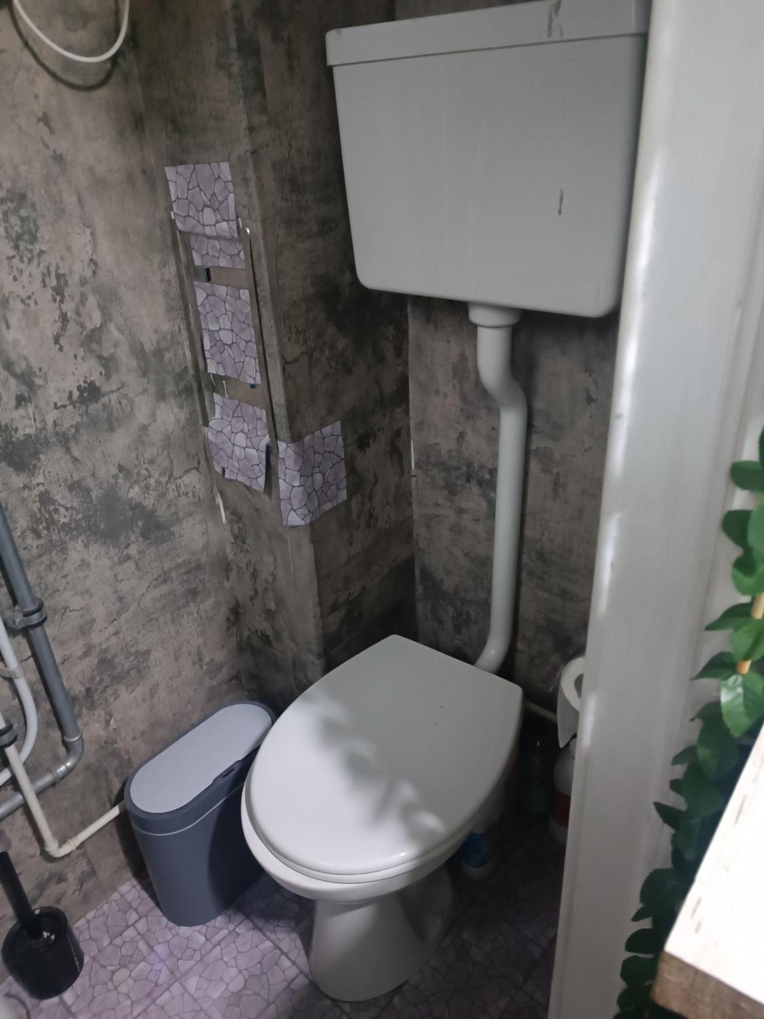 Appartement jardin ixelles بروكسل المظهر الخارجي الصورة